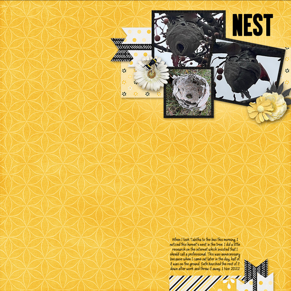 Nest