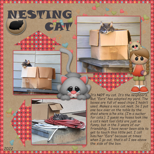 Nesting cat