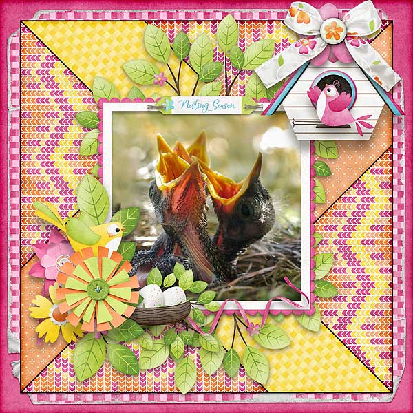 Nesting Season