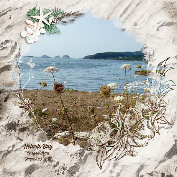 Netarts Bay
