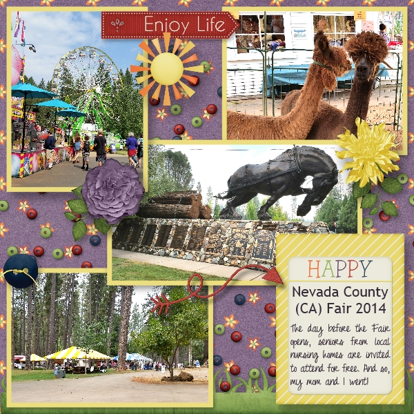 Nevada County Fair 2014
