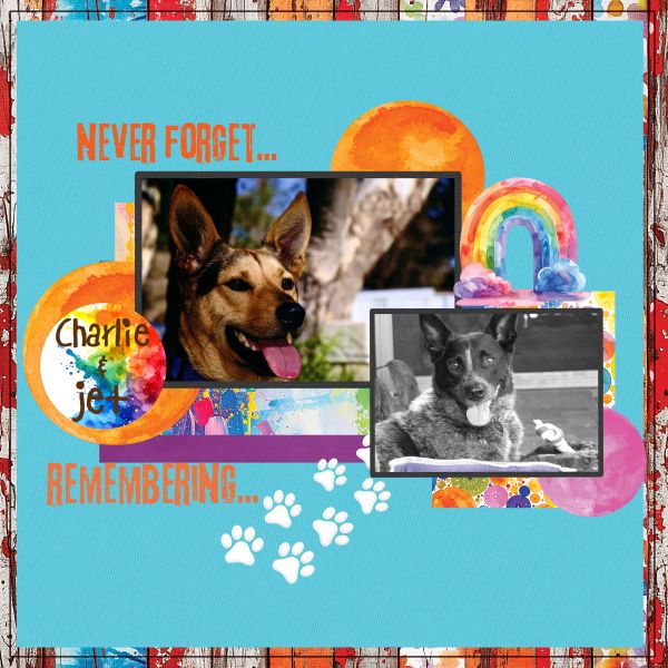 Never Forget ...... Remembering