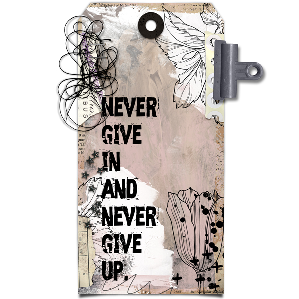 Never give in and never give up