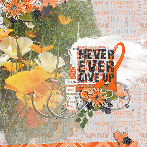 never give up