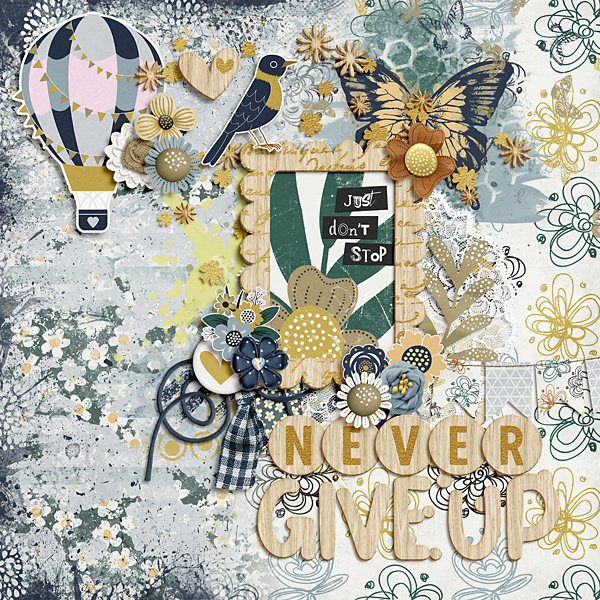 Never Give Up