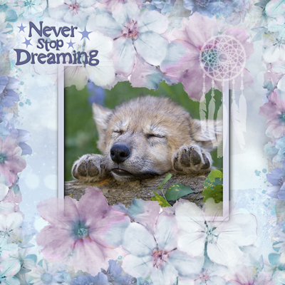 Never Stop Dreaming