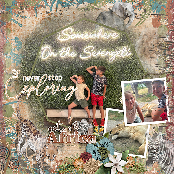 Never Stop Exploring