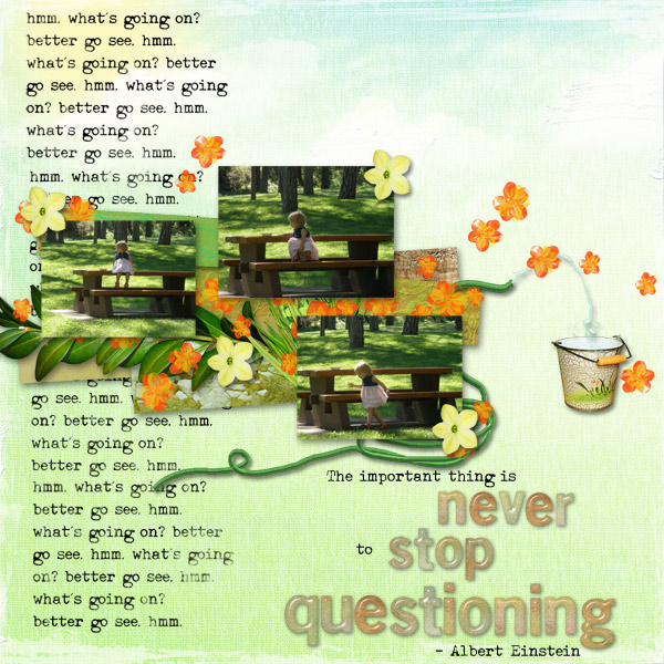 never stop questioning