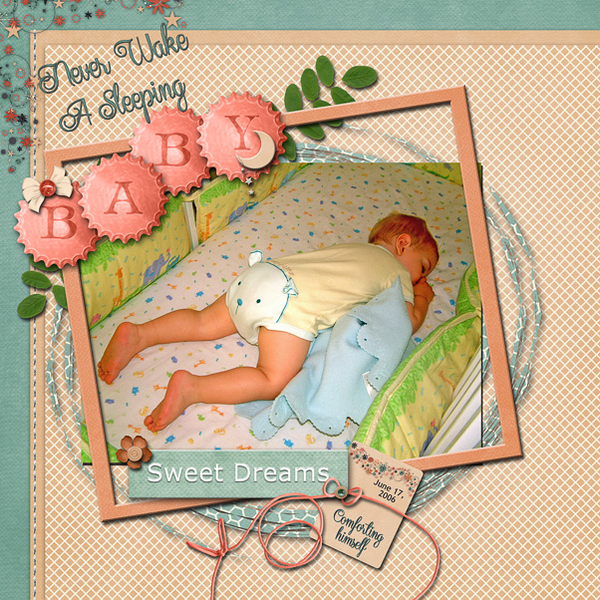 Never Wake a Sleeping Baby