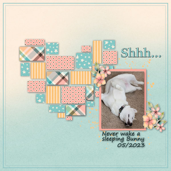 Never Wake