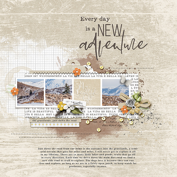 New Adventure