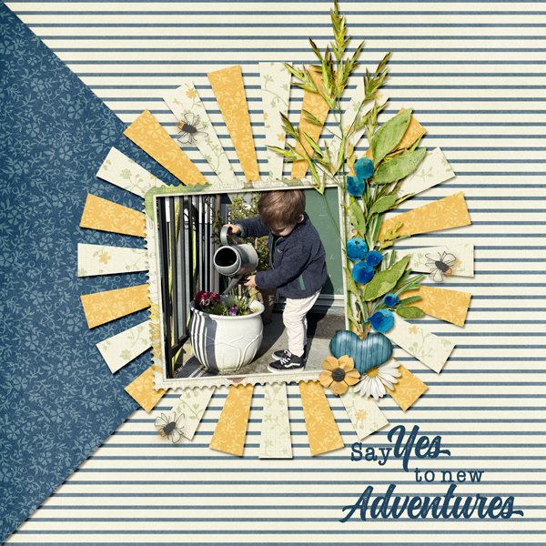 New Adventures