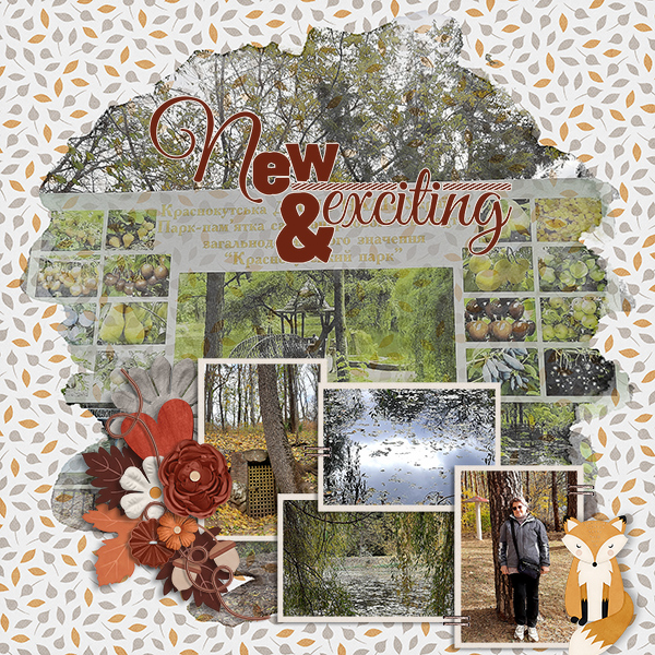 New And Exciting