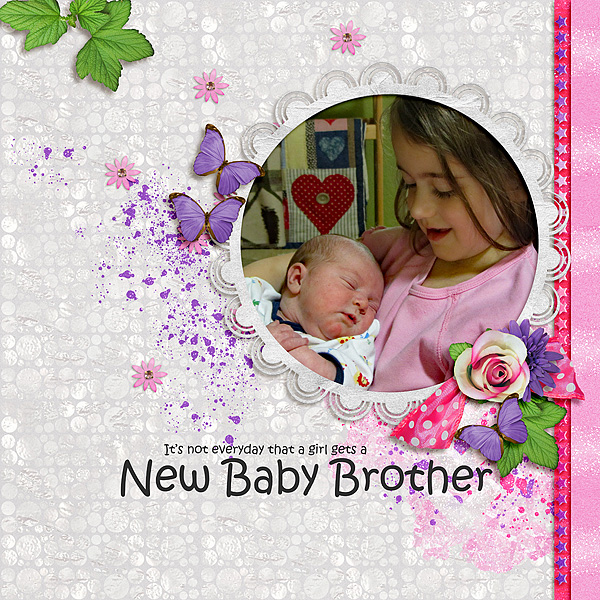 New Baby Brother