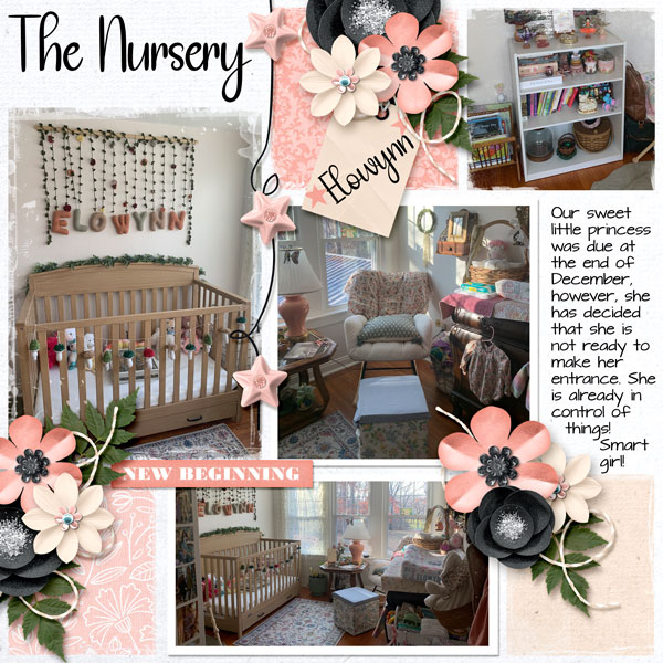 New Baby Nursery