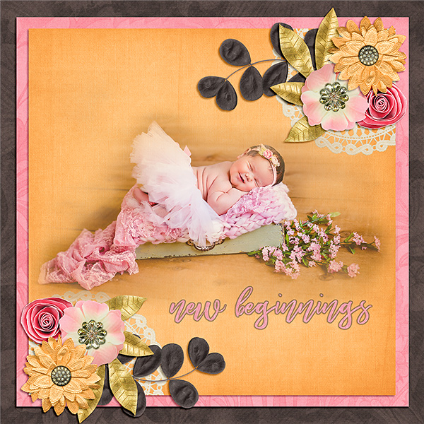 New Beginings