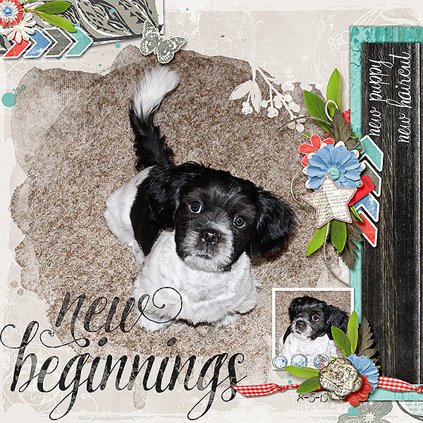 New Beginnings