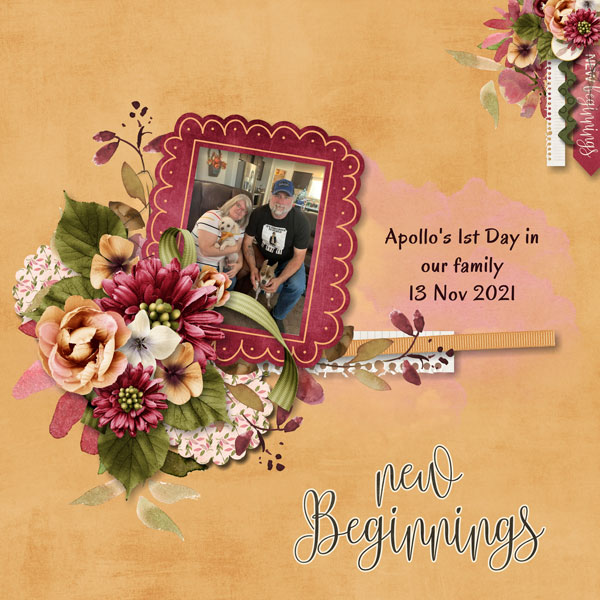 New Beginnings