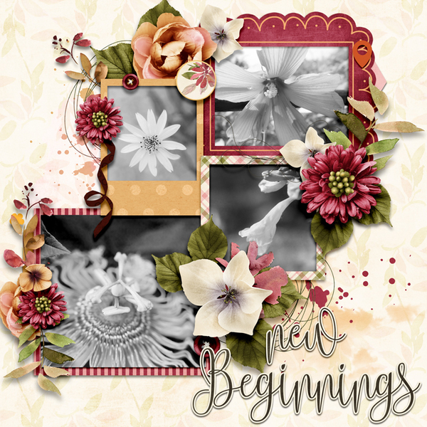 New Beginnings