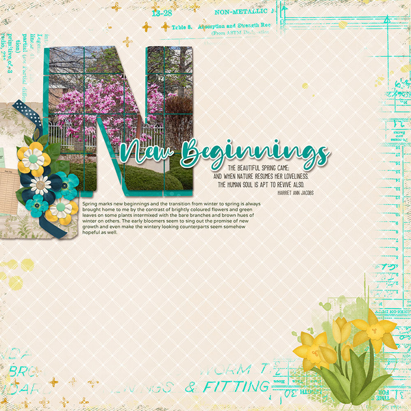 New Beginnings