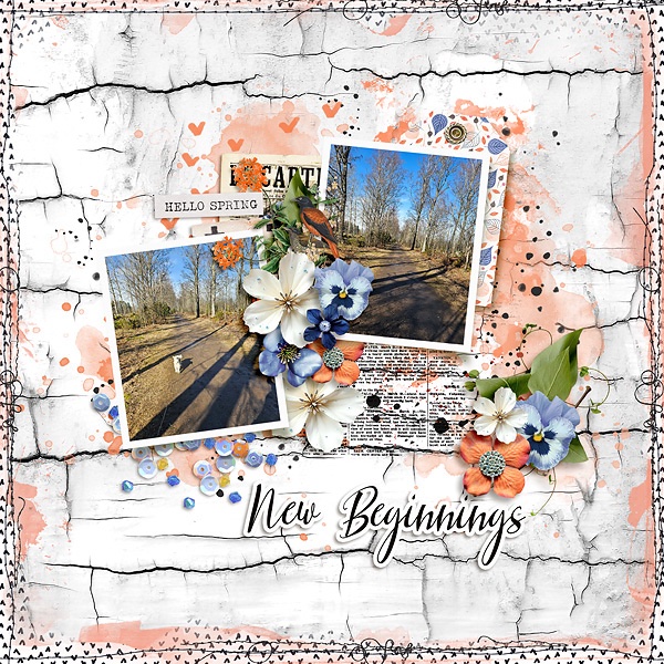 New Beginnings