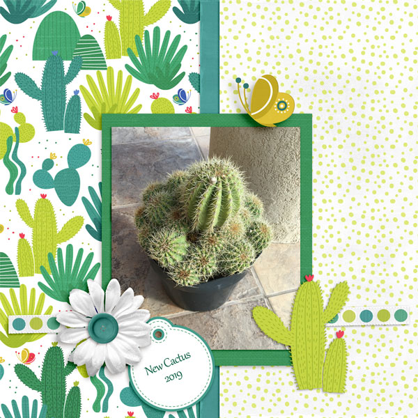 New Cactus - March mini challenge