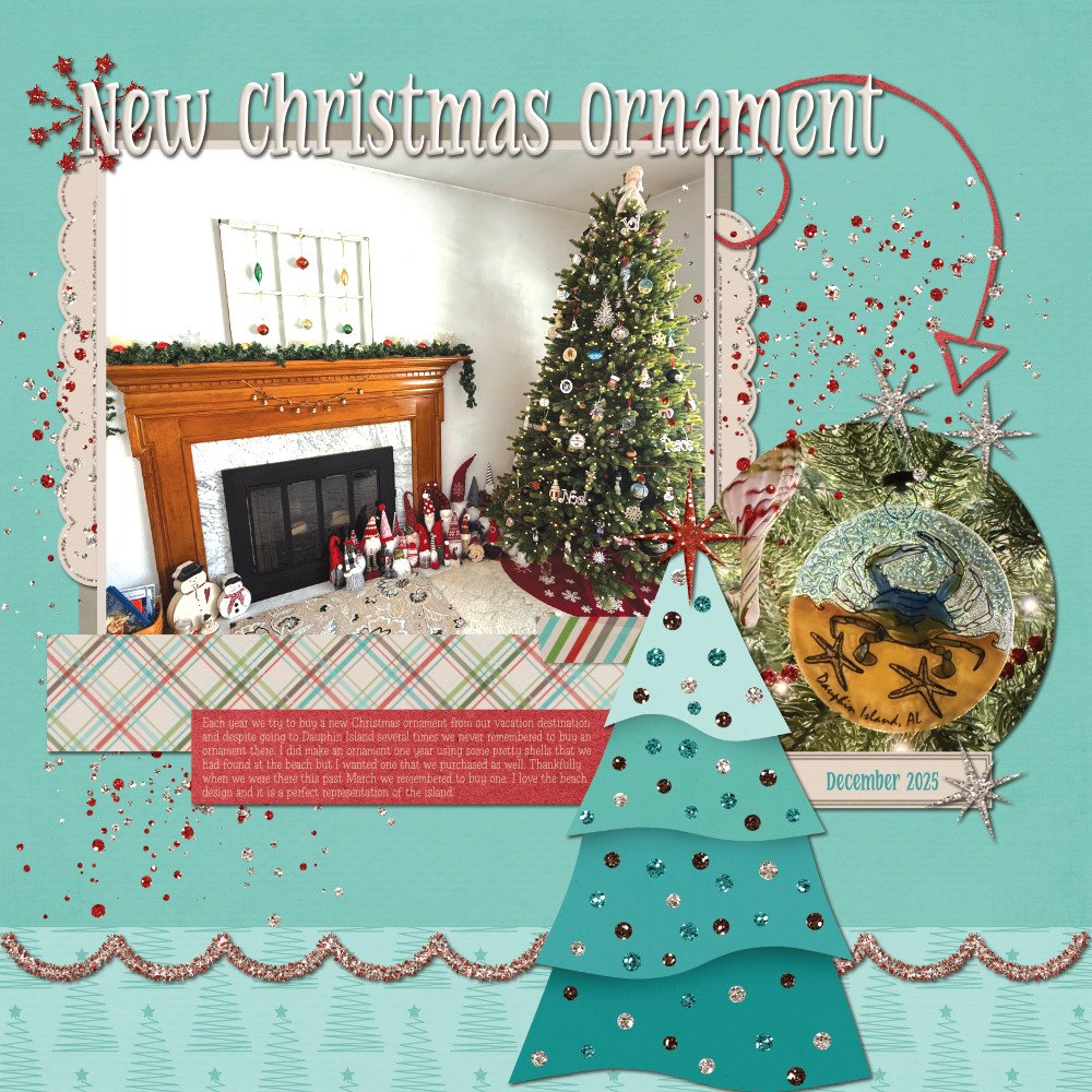 New Christmas Ornament 12-8-25