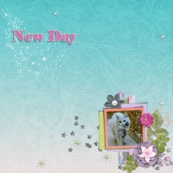 New day, new way