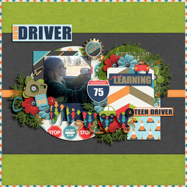 New Driver