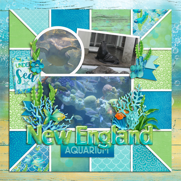 New England Aquarium