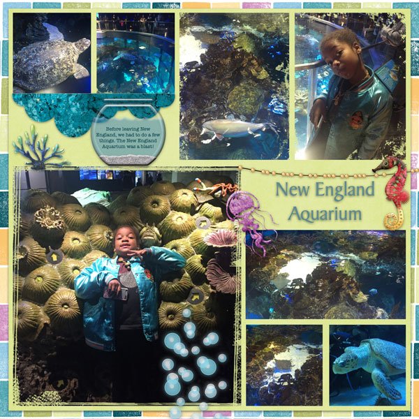 New England Aquarium