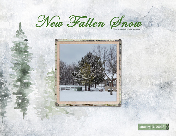 New Fallen Snow
