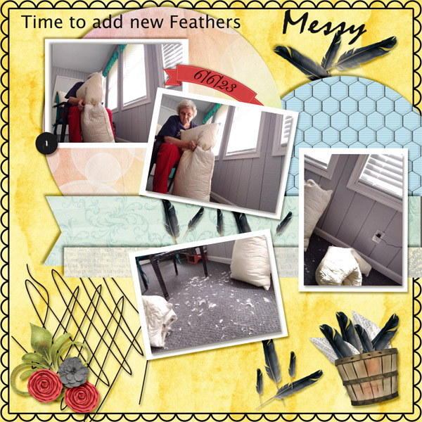 New Feathers