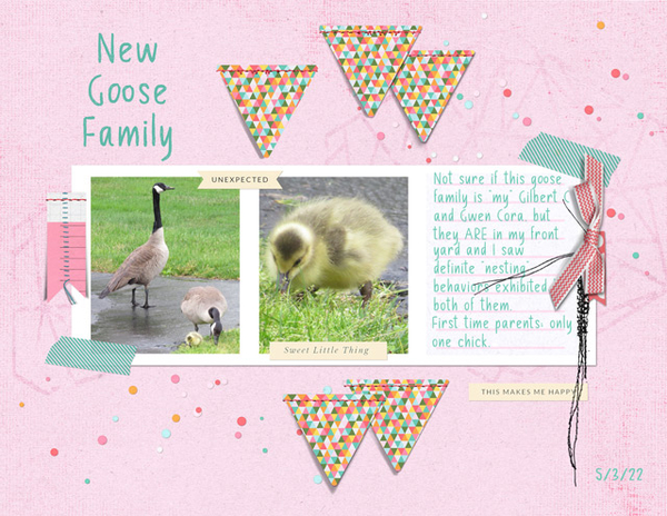 New Goose Family