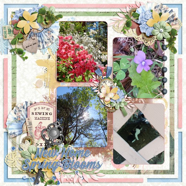 New Home Spring Blooms