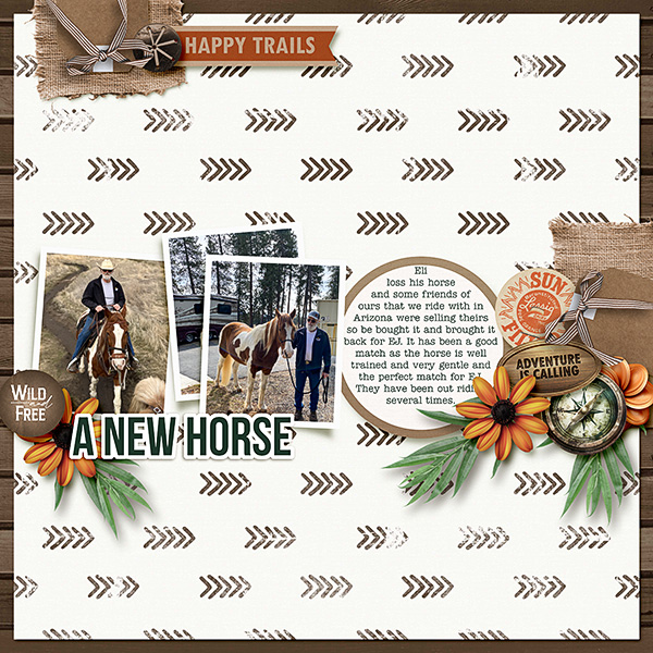 New-Horse
