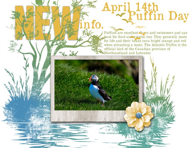NEW-info. April 14th Puffin Day
