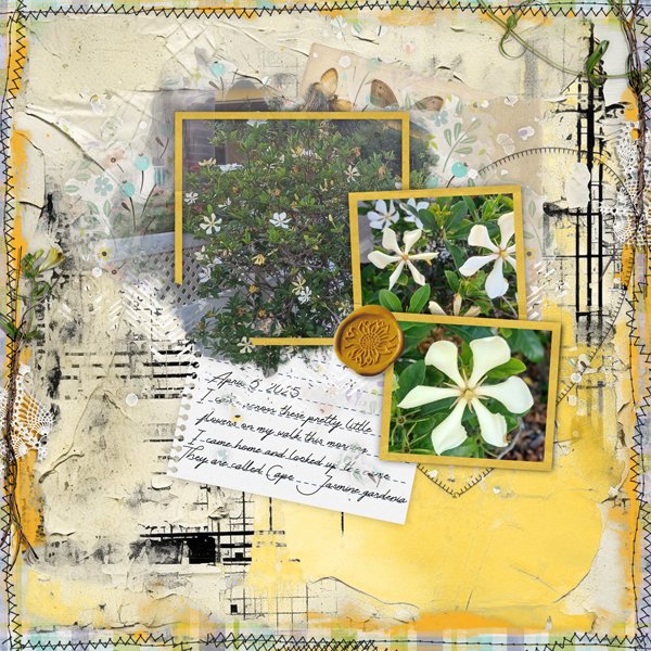 New Journey April-CarolW with her Never Be Forgotten Temp