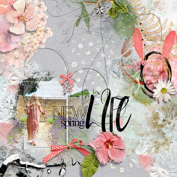 New life new spring