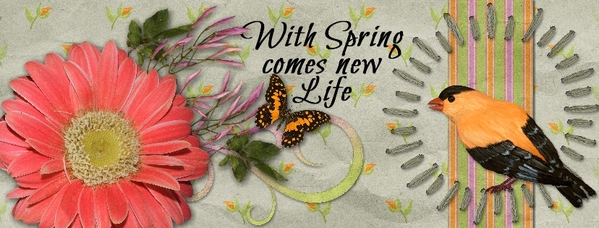 New Life