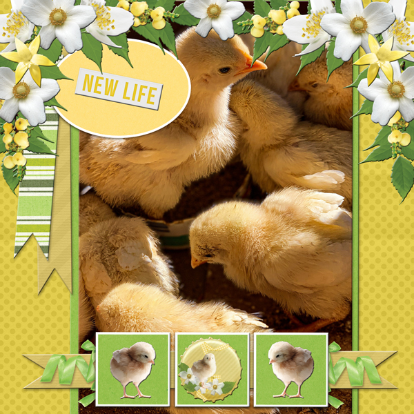 NEW LIFE