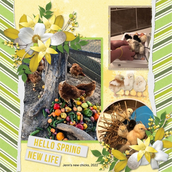 New Life