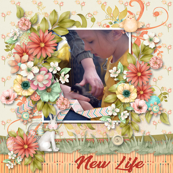 New Life