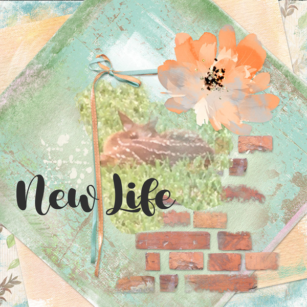 New Life