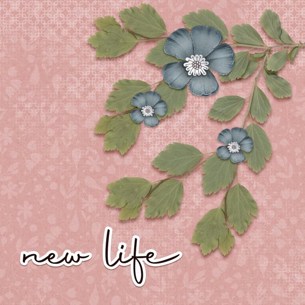 New Life