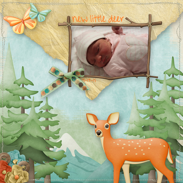 New Little Deer