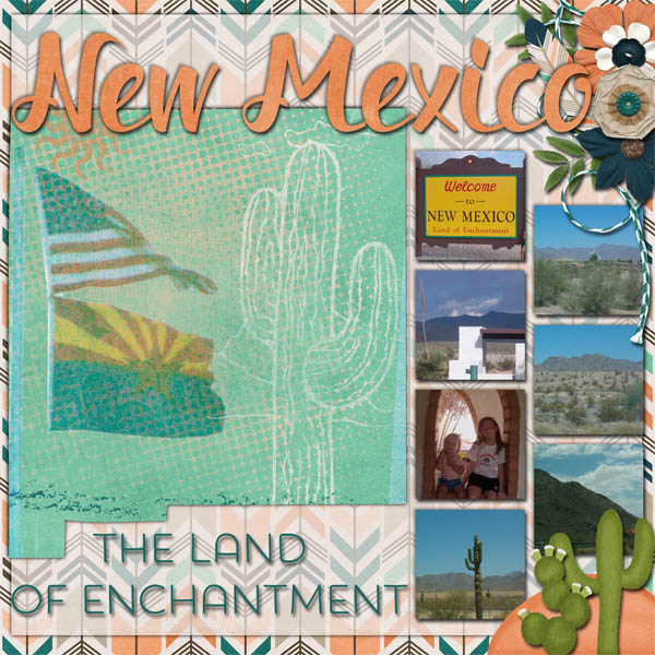 new mexico - 2004