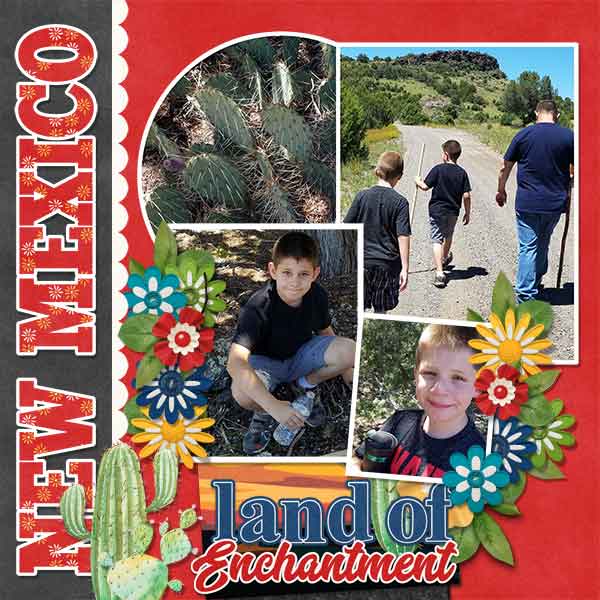 New Mexico