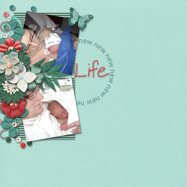 new new life