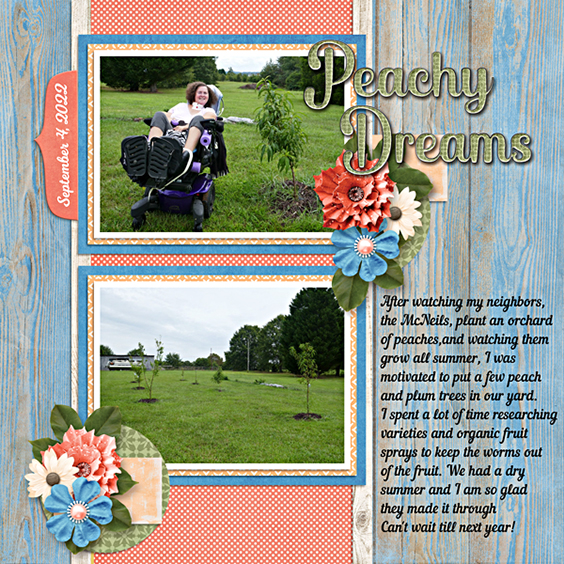 New peach trees